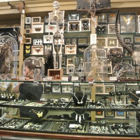 Unique New York: 5 Quirky Things To Do in&nbsp;Manhattan