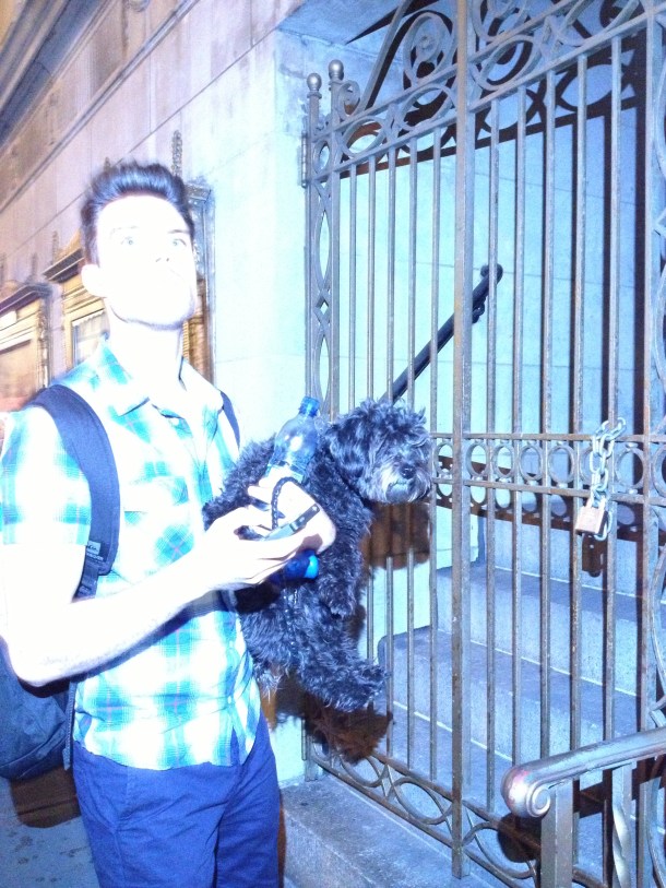 The dog from Pippin, blinded by the light.