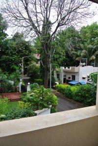 view of the neighborhood from my room