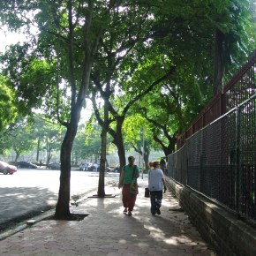 A City of&nbsp;Opposites