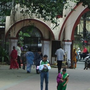 The Woman in the Green&nbsp;Sari