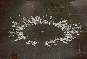 Diner-en-Blanc-Paris-1990-Bois-de-Boulogne1